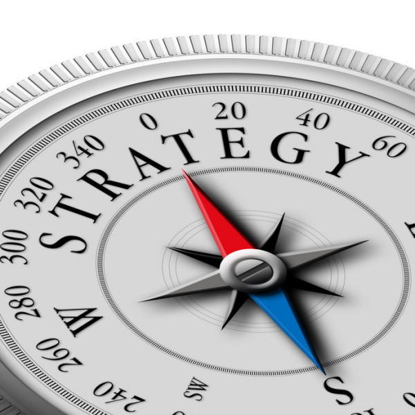 Development of Dynamic Corporate Strategies (ICI-33)